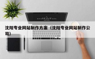 玉溪沈阳专业网站制作方案（沈阳专业网站制作公司）